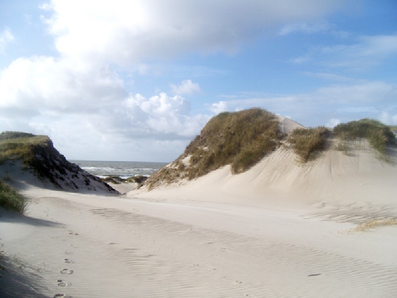 Sylt6