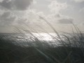 Sylt3